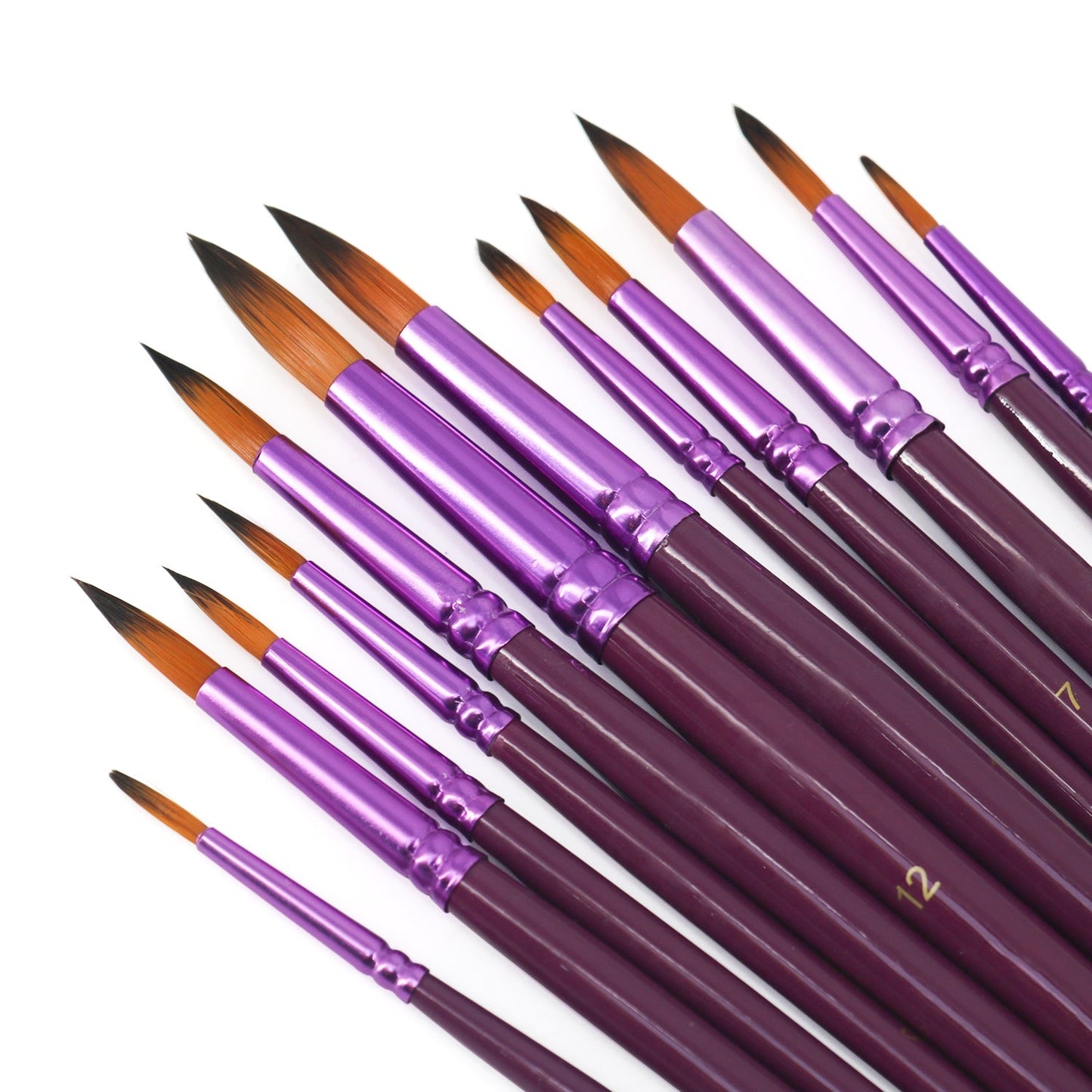 Purple 12pcs Paint Brushes