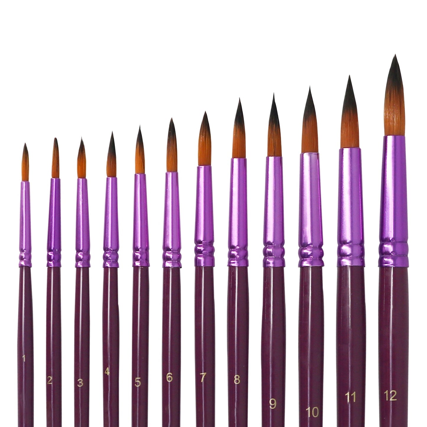 Purple 12pcs Paint Brushes