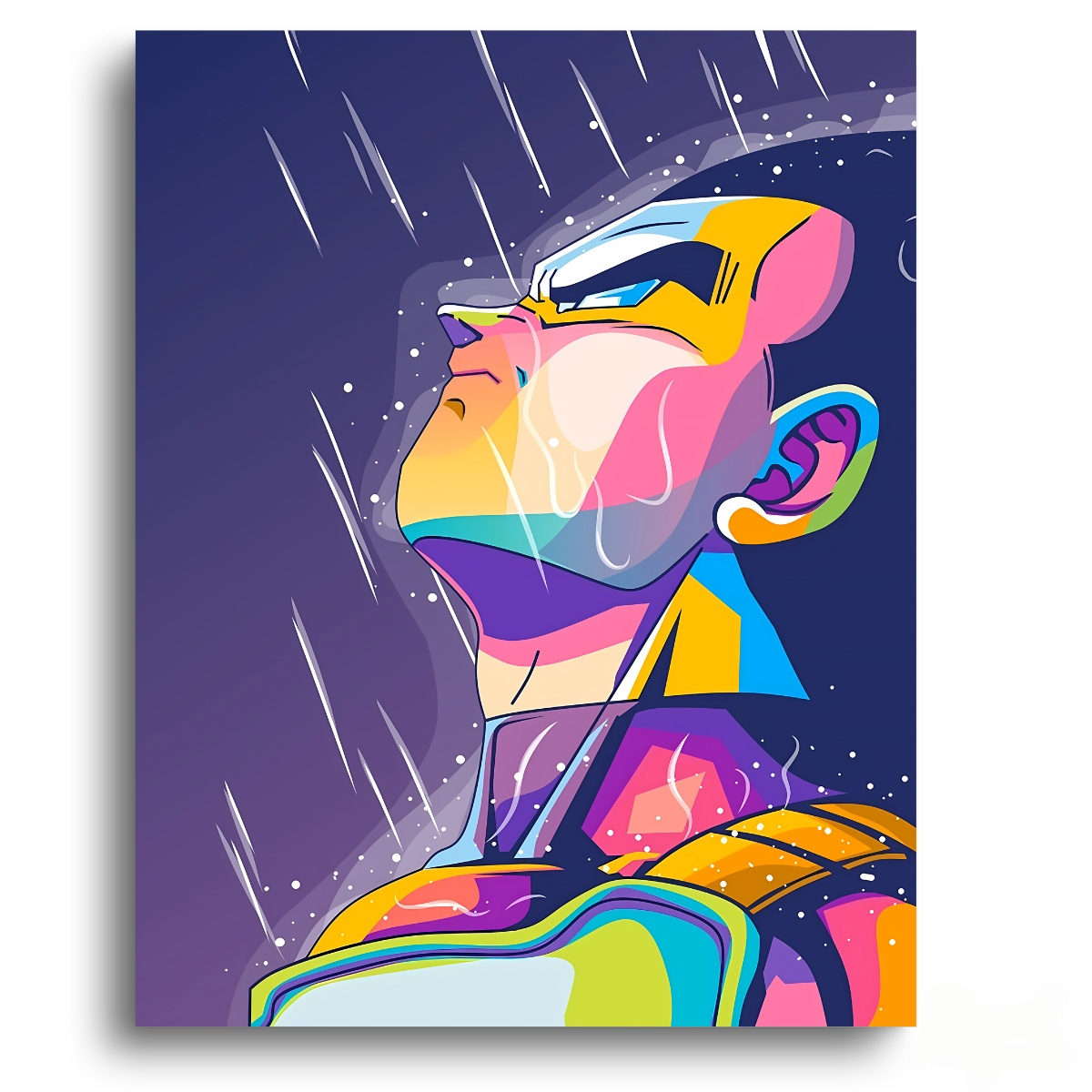 Dragon Ball Z: Vegeta Sky Fall – Anime Paint By Numbers Kit