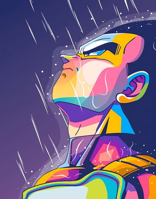 Dragon Ball Z: Vegeta Sky Fall – Anime Paint By Numbers Kit